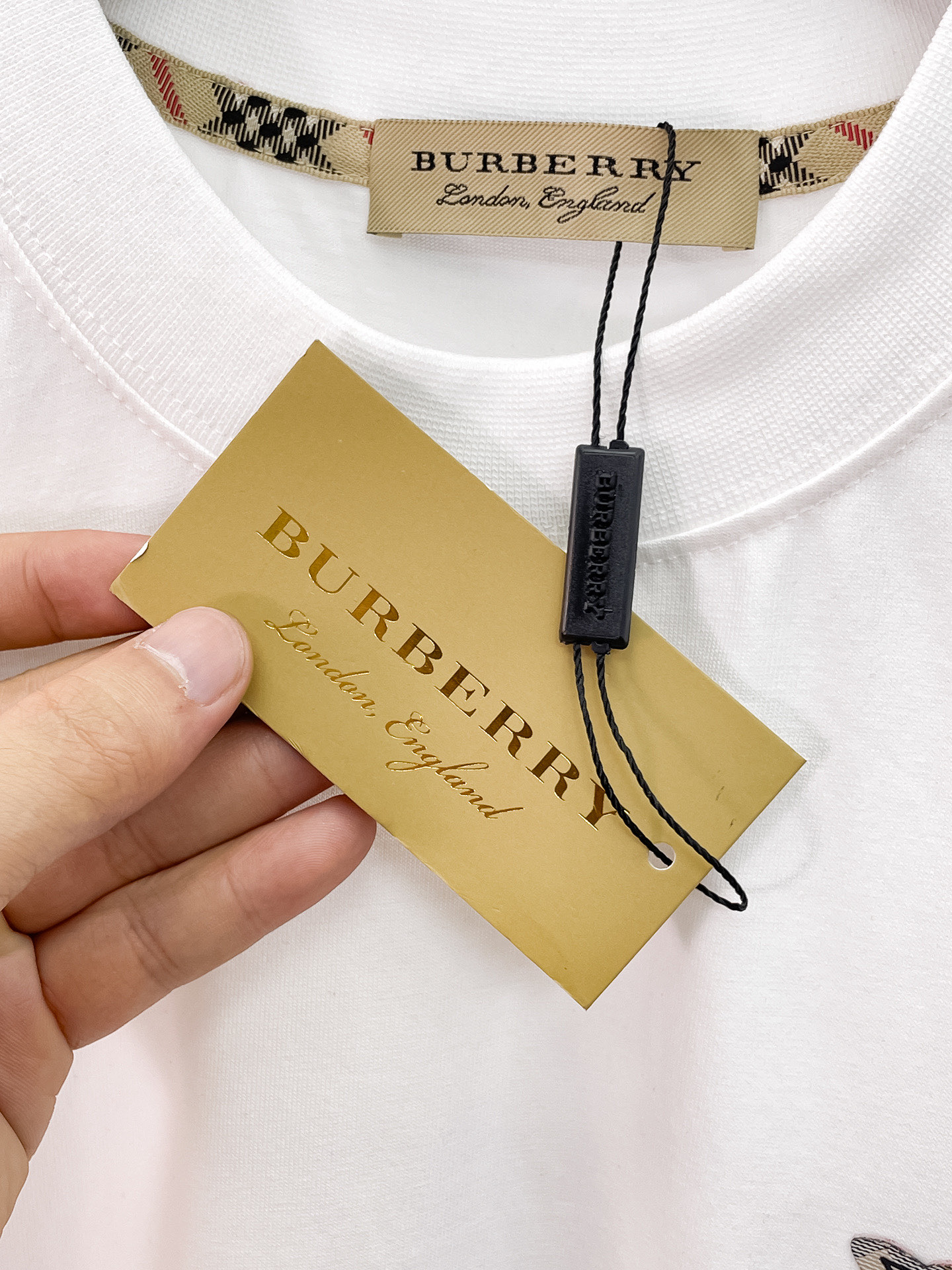 short sleeves